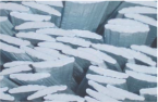 Eco-strip coated glass fibre reinforced polypropylene strip profile